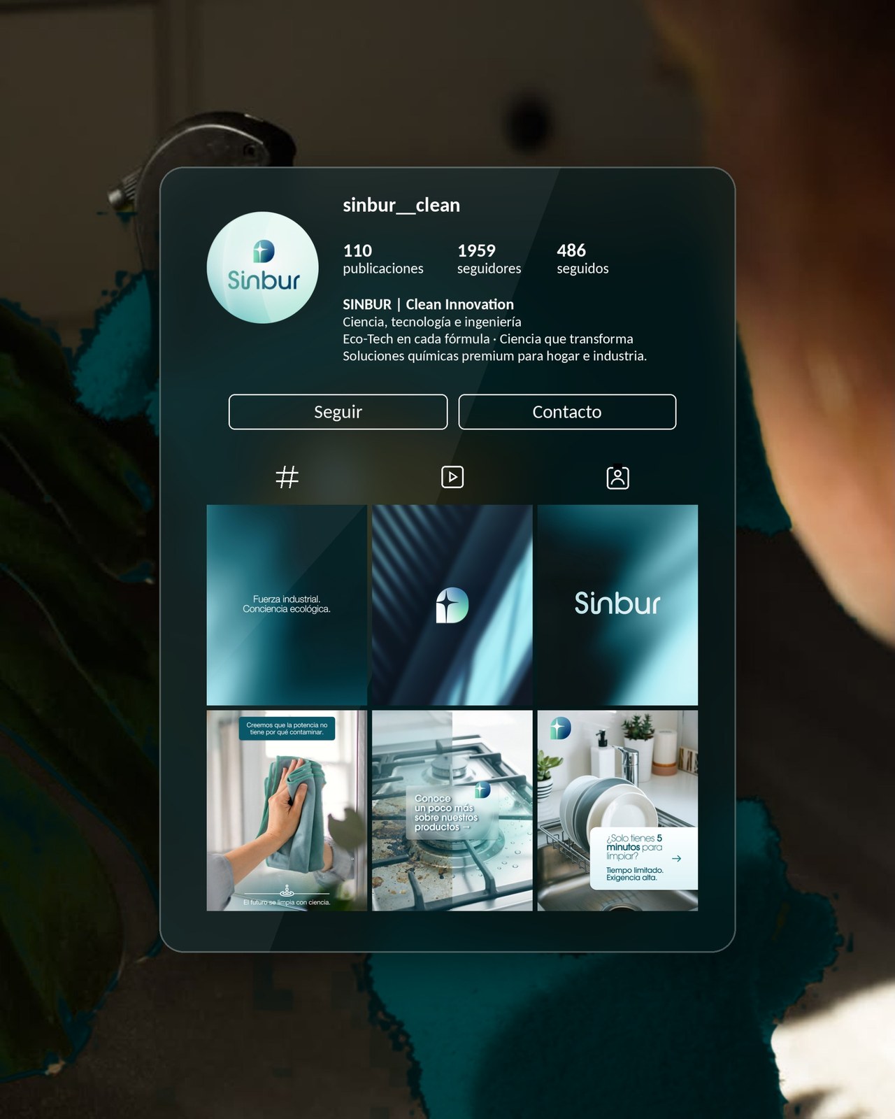 Perfil de Instagram de Sinbur con contenido mensual